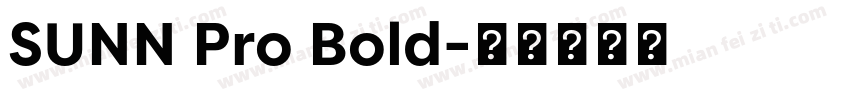 SUNN Pro Bold字体转换